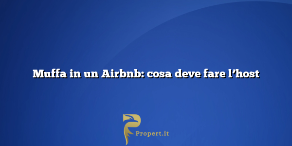 Muffa in un Airbnb: cosa deve fare l’host
